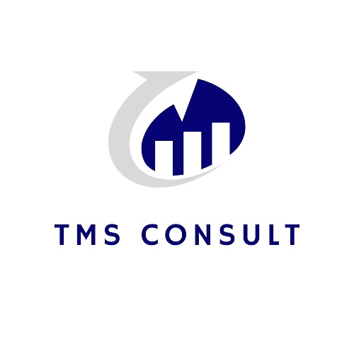 tmsconsult.fr